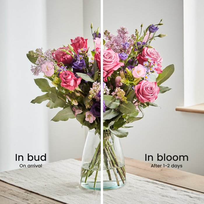 The Soft Romance by Arena Flowers Moonpig